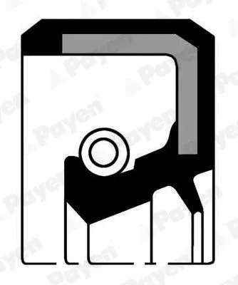 Shaft Seal, crankshaft PAYEN NJ005)