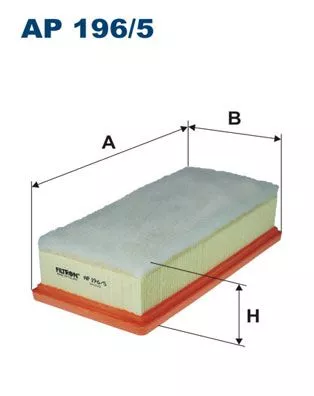 Air Filter FILTRON AP 196/5)