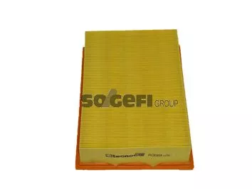 Air Filter PURFLUX A221)