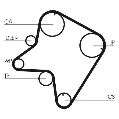 Timing Belt CONTINENTAL CTAM CT762)