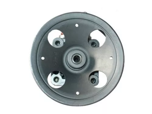 Hydraulic Pump, steering SPIDAN 54066)