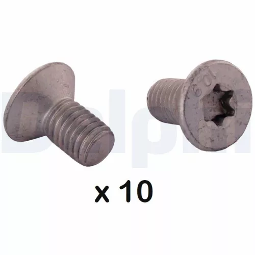 Bolt, brake disc DELPHI BGK012)