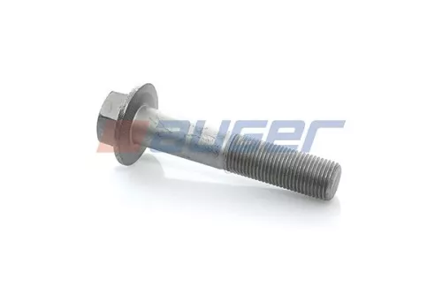 Screw AUGER 51528)