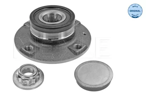 Wheel Hub MEYLE 100 752 0010)