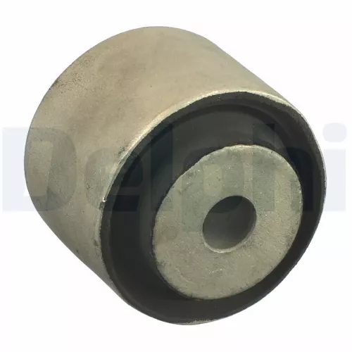 Bushing, axle beam DELPHI TD1011W)