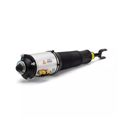 Air Suspension Strut Arnott AS-2893)
