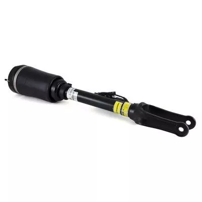 Air Suspension Strut Arnott AS-2463)
