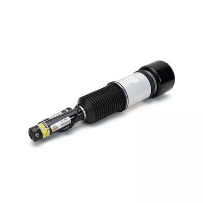 Air Suspension Strut Arnott AS-2605)