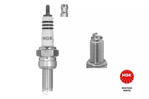 Spark Plug NGK 3521)