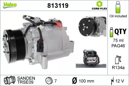 Compressor, air conditioning VALEO 813119)