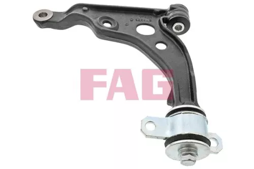 Control/Trailing Arm, wheel suspension Schaeffler FAG 821 0809 10)