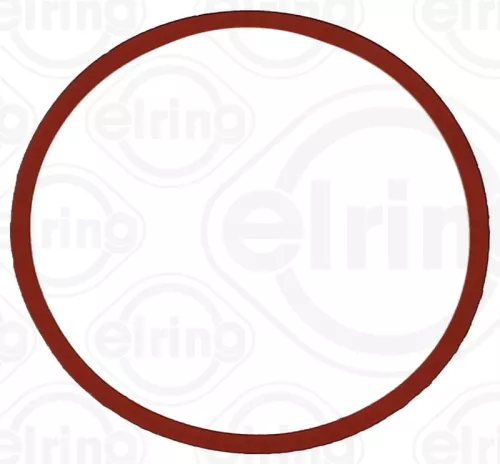 Gasket, intake manifold ELRING 893.600)