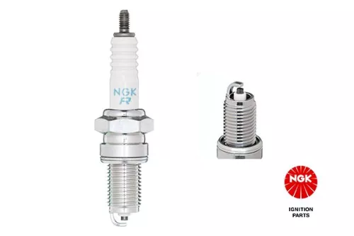 Spark Plug NGK 5531)