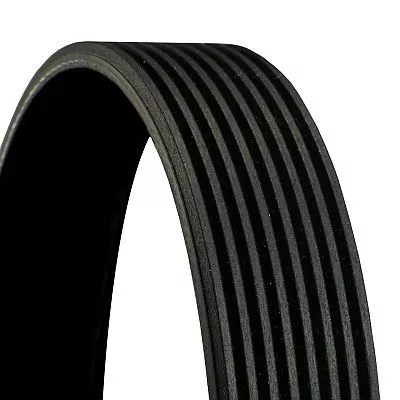 V-ribbed Belt CONTINENTAL CTAM 8PK1478)