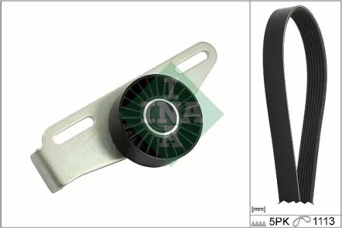 V-Ribbed Belt Set Schaeffler INA 529 0441 10)
