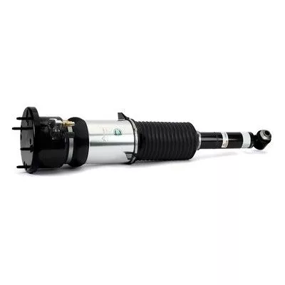 Air Suspension Strut Arnott AS-3121)