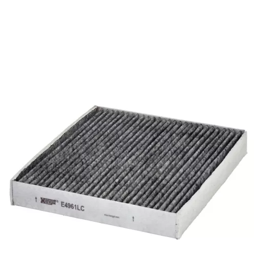 Filter, cabin air HENGST FILTER E4961LC)