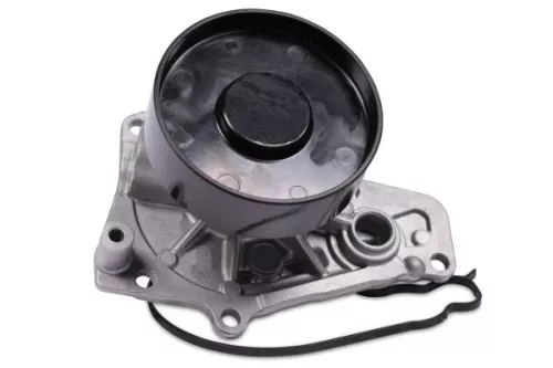 Water Pump, engine cooling HEPU P442)