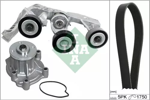 Water Pump + V-ribbed Belt Kit Schaeffler INA 529 0081 31)