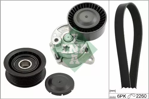 V-ribbed Belt Set Schaeffler INA 529 0450 10)