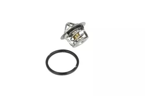 Thermostat, coolant NRF 725080)