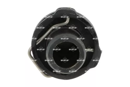 Thermostat, coolant NRF 725166)