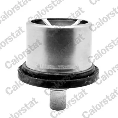 Thermostat, coolant CALORSTAT by Vernet THS16958.76)