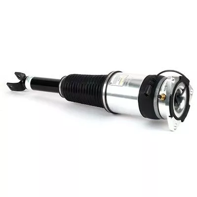 Air Suspension Strut Arnott AS-3030)
