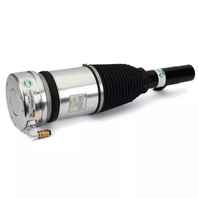 Air Suspension Strut Arnott AS-3344)