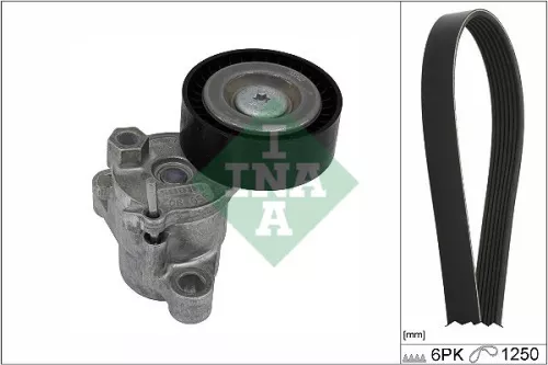 V-ribbed Belt Set Schaeffler INA 529 0524 10)