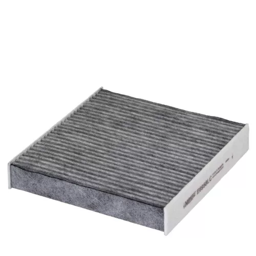 Filter, cabin air HENGST FILTER E6958LC)