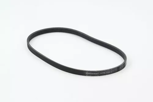 V-ribbed Belt CONTINENTAL CTAM 4PK798 ELAST)