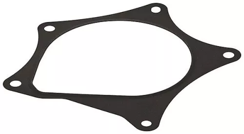 Gasket, water pump ELRING 876.160)