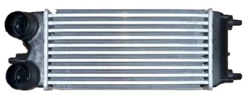 Charge Air Cooler  30274)