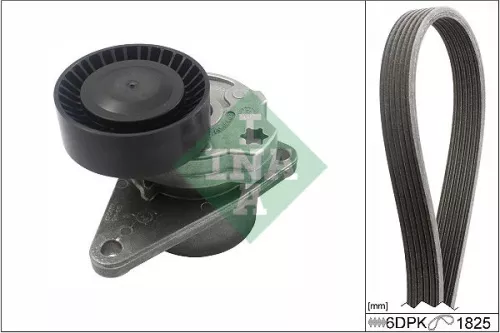 V-ribbed Belt Set Schaeffler INA 529 0557 10)