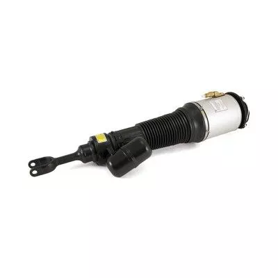Air Suspension Strut Arnott AS-2581)