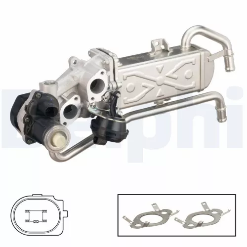 EGR Valve DELPHI EG10589-12B1)
