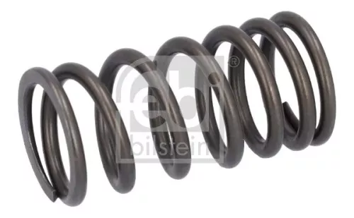 Valve Spring  187757)