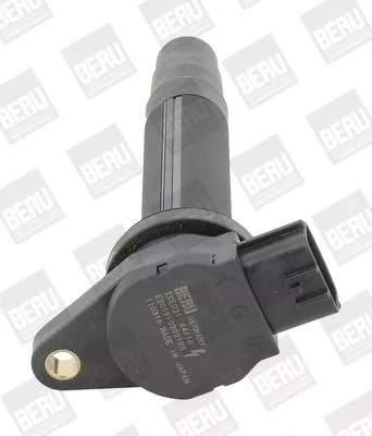 Ignition Coil BorgWarner (BERU) ZSE021)