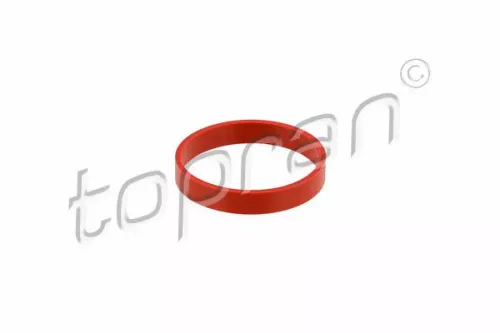 Gasket, intake manifold TOPRAN 500 832)