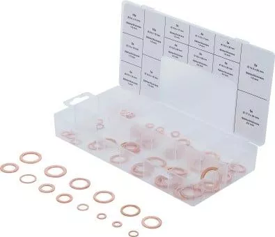Seal Ring Set BGS 8132)