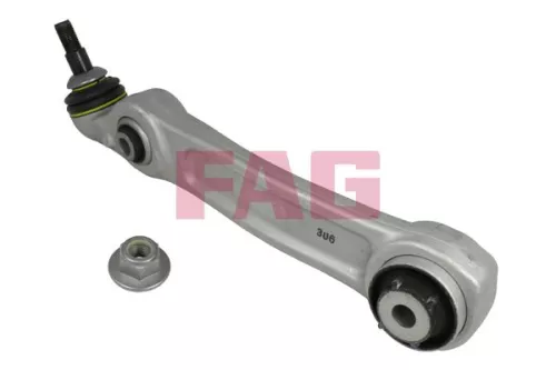 Control/Trailing Arm, wheel suspension Schaeffler FAG 821 0837 10)