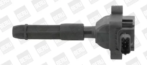 Ignition Coil BorgWarner ZS041)