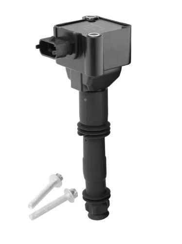 Ignition Coil BorgWarner ZS178)