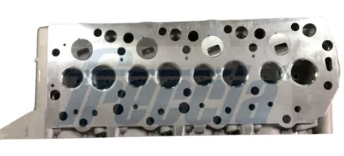 Cylinder Head FRECCIA CH17-1042)