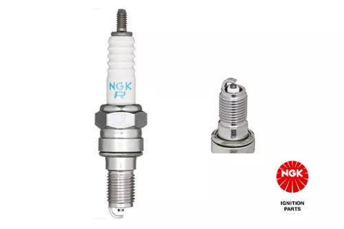 Spark Plug NGK 7502)