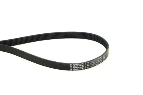 V-ribbed Belt CONTINENTAL CTAM 7PK1195 ELAST)