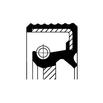 Shaft Seal, camshaft CORTECO 19036722B)