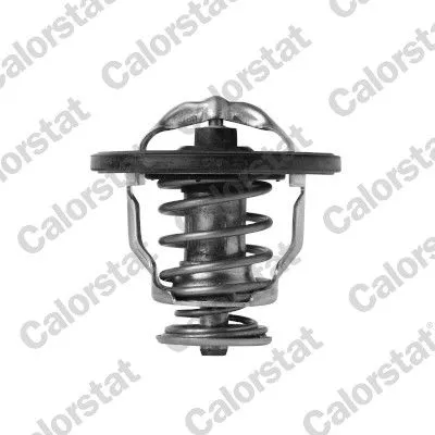 Thermostat, coolant CALORSTAT by Vernet TH7420.76J)